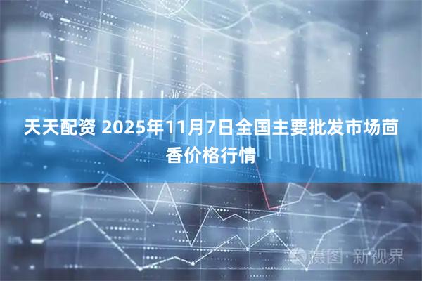 天天配资 2025年11月7日全国主要批发市场茴香价格行情