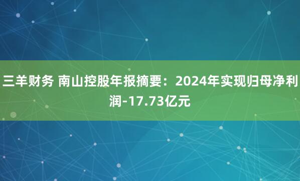 三羊财务 南山控股年报摘要：2024年实现归母净利润-17.73亿元