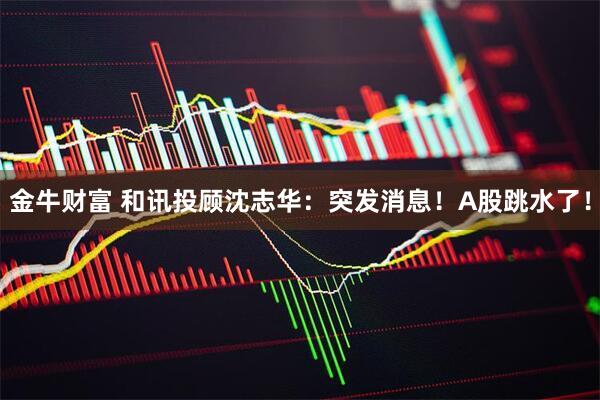 金牛财富 和讯投顾沈志华：突发消息！A股跳水了！