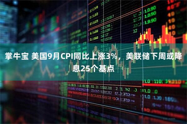 掌牛宝 美国9月CPI同比上涨3%，美联储下周或降息25个基点