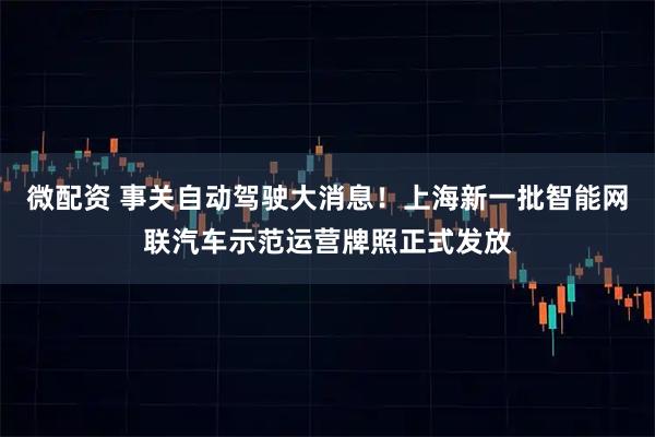 微配资 事关自动驾驶大消息！上海新一批智能网联汽车示范运营牌照正式发放